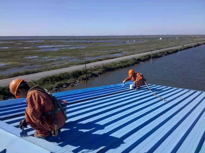 泰宁钢结构屋面漏水原因